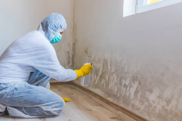 Licensed Mold Testing service in Concord, NC - WQB Mold Removal