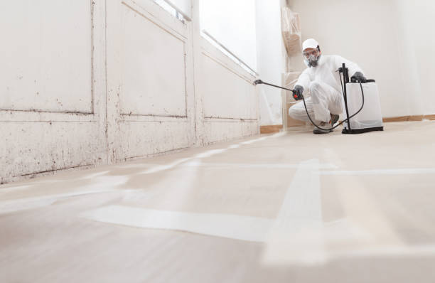 24/7 Emergency Mold Testing experts in Concord, NC
