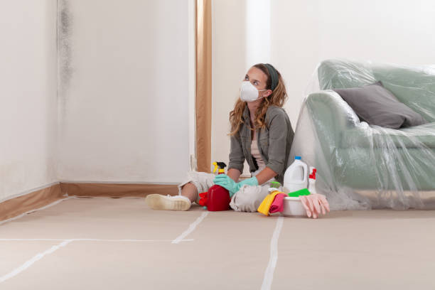 Reliable Mold Testing contractor in Concord, NC by WQB Mold Removal